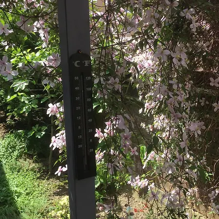 Ferienwohnung Am Schloss Eller - Am Dammsteg